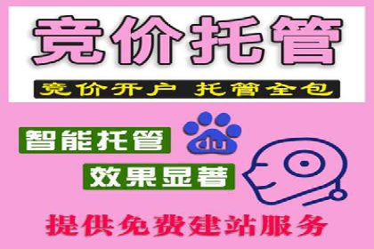 百度广告竞价与社交媒体结合的案例：某品牌的全网营销策略